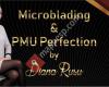 Diana Rusu - Microblading & PMU Perfection