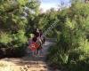 Doñana Horse Adventure