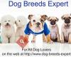 Dog Breeds Expert