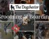 Dogchester - Dog Grooming, Training & Boarding