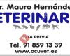 Dr. Mauro Hernández, Veterinario - Ocuvet Torrelodones