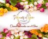 Dreams of Love Wedding & Event planner
