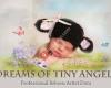 Dreams of tiny angels reborn