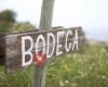 Eco Bodega Mallorca