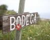 EcoBodega