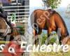 Ecuestre