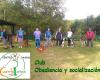 Educación Centro Canino Cuatro Patas