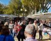 El Barato. Mercadillo de Arcos
