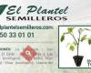 El Plantel Semilleros