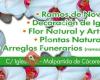 El Puente Arte Floral