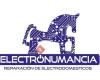 Electronumancia