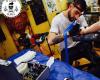 Elgalántattoo