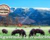Embutidos y jamones ibéricos Cabrero