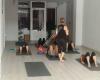 Enesencia pilates & yoga