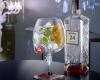 Entrecopas Gin Tonic