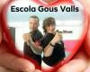 Escola Gous Valls- arts marcials