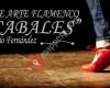 Escuela de Arte Flamenco 