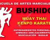 Escuela De Artes Marciales Bushido