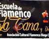 Escuela de Flamenco La Tana