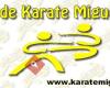 Escuela de Karate Miguel Angel