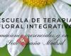 Escuela de Terapia Floral Integrativa - Susana Veilati