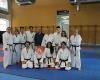 Escuela Municipal Karate Villaviciosa de Odón