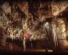 Espeleología Alto Duero Soria