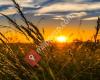 Estoesagricultura