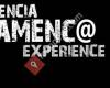 Experiencia Flamenca, Flamenco Experience