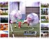 Fútbol Bubble
