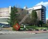 Facultad de Medicina y Ciencias de la Salud. Universidad de Oviedo