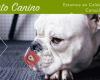 Faitebo Adestramento Canino