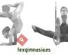 Federación Extremeña de Gimnasia