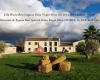 Finca la Torre