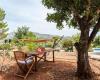 Finca Llíber - Een huis in Spanje