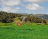 Finca Los Pastores - Hotel Rural - Ronda