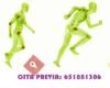 Fisio&Fit