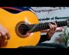 FlamencoEstepa, Cursos, clases, eventos de guitarra flamenca