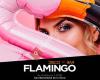 Flamingo disco-bar