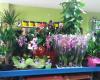 Flor de Ruth Riells i Viabrea