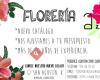 Floreria Azalea