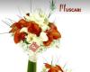 Flores Muscari