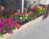 Floristería Lo Jardí Encantat