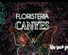 Floristeria canyes