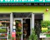 Floristeria Carmona Calzada