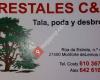 Forestales C&A