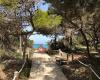 Formentera Lodge