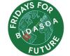Fridays For Future Bidasoa