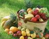 Fruites i Verdures Monrós