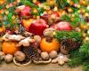 Frutas Linda Millere,S.l.